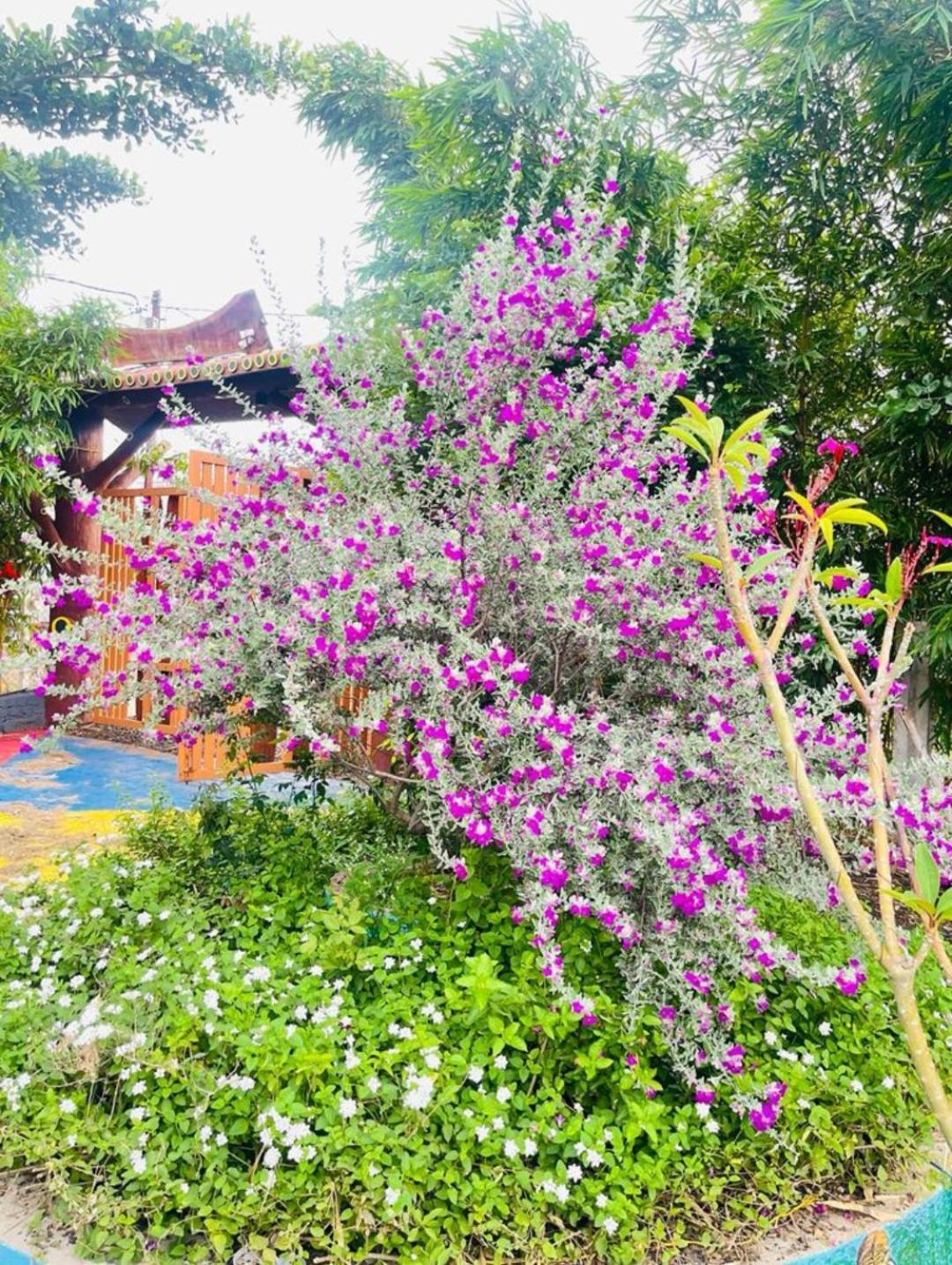 Leopard Farmhouse Mhow المظهر الخارجي الصورة